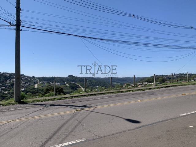 #TRD53 - Área para Venda em Caxias do Sul - RS