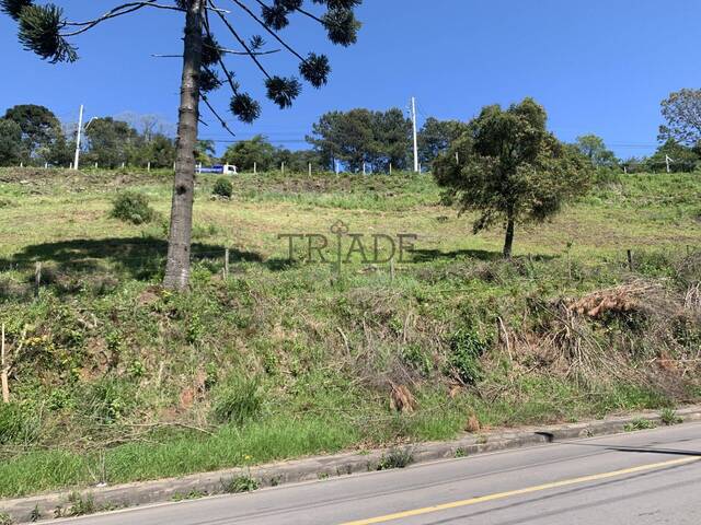 #TRD53 - Área para Venda em Caxias do Sul - RS