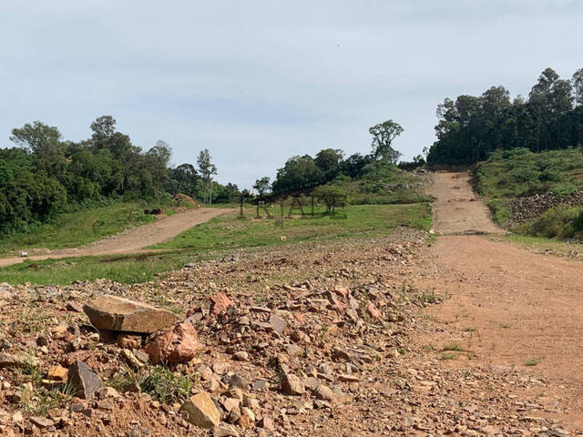 #TRD55 - Área para Venda em Caxias do Sul - RS