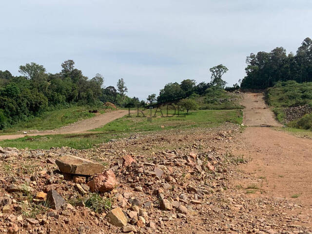 #TRD55 - Área para Venda em Caxias do Sul - RS