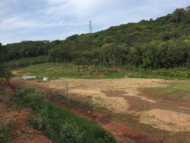 #TRD119 - Área para Venda em Caxias do Sul - RS