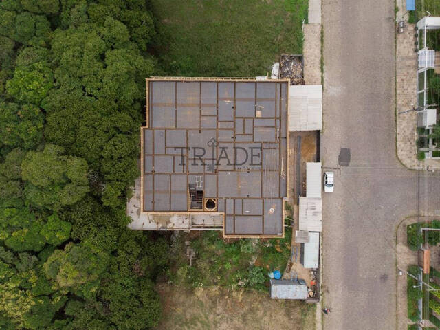 Apartamento para Venda em Caxias do Sul - 4