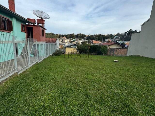 Área para Venda em Caxias do Sul - 4