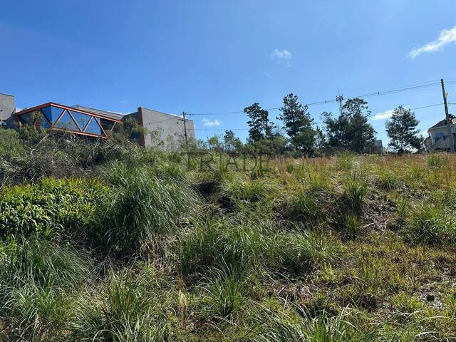 #TRD159 - Área para Venda em Caxias do Sul - RS