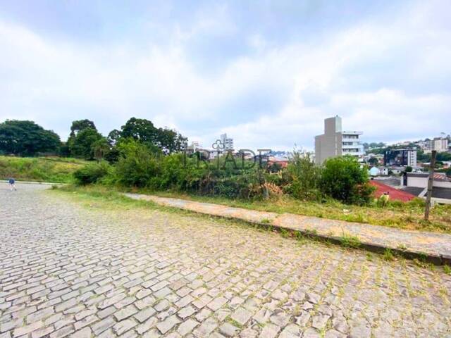 #TRD161 - Área para Venda em Caxias do Sul - RS