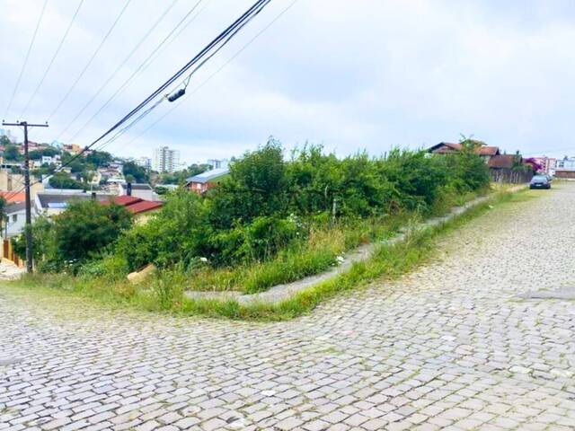 Área para Venda em Caxias do Sul - 4