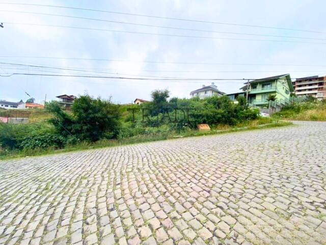 #TRD161 - Área para Venda em Caxias do Sul - RS