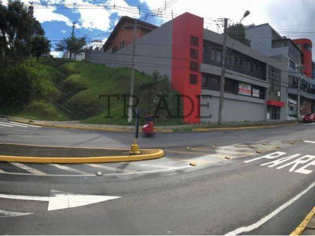 #TRD168 - Sala para Venda em Caxias do Sul - RS