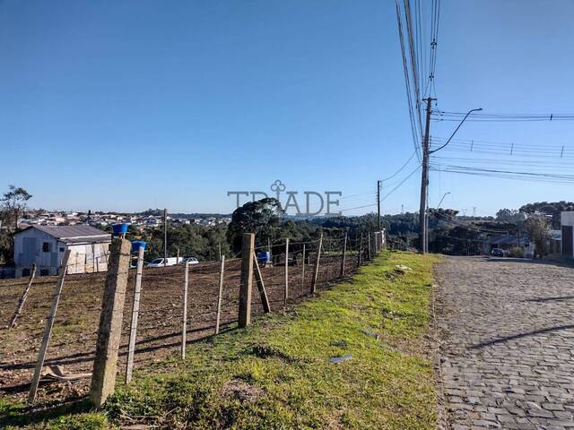 #TRD222 - Área para Venda em Caxias do Sul - RS