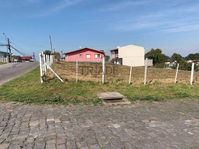 #TRD249 - Área para Venda em Caxias do Sul - RS