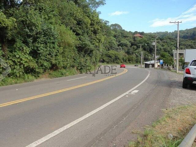 #TRD261 - Área para Venda em Caxias do Sul - RS