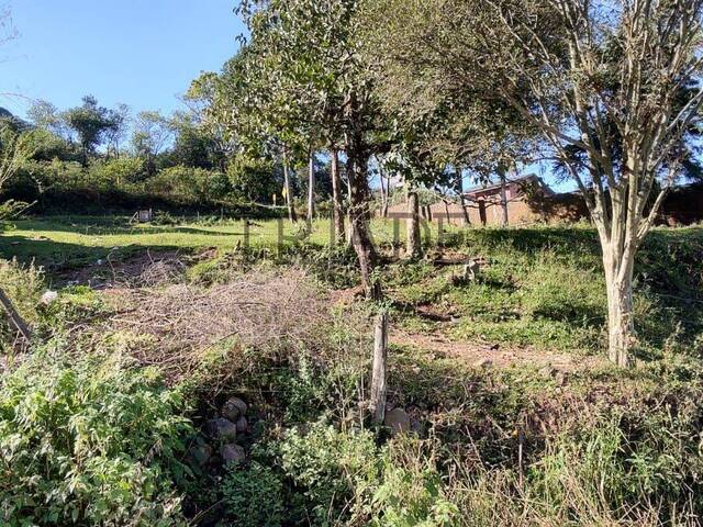 #TRD261 - Área para Venda em Caxias do Sul - RS