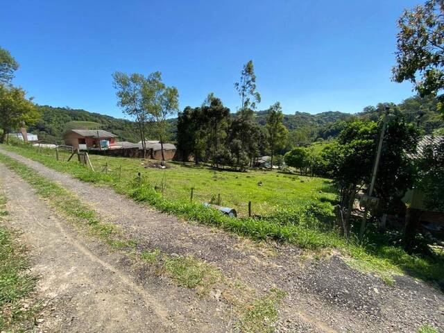 Área para Venda em Caxias do Sul - 5