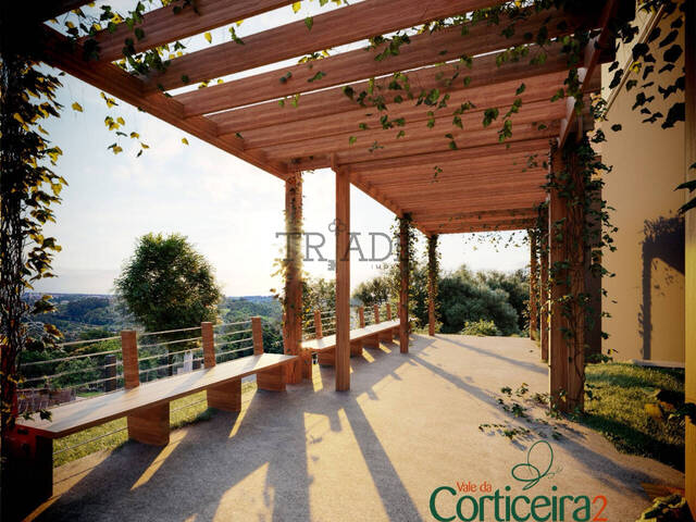 Apartamento para Venda em Caxias do Sul - 5