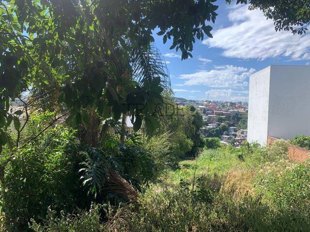 Terreno para Venda em Caxias do Sul - 5
