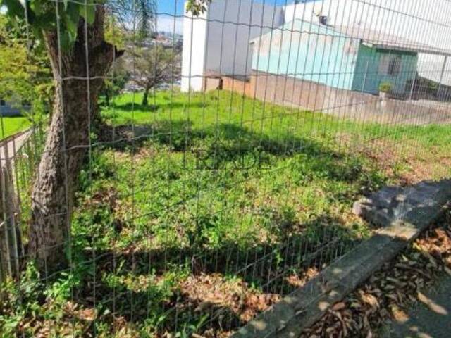 Terreno para Venda em Caxias do Sul - 4
