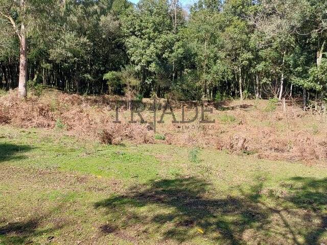 #TRD433 - Área para Venda em Caxias do Sul - RS