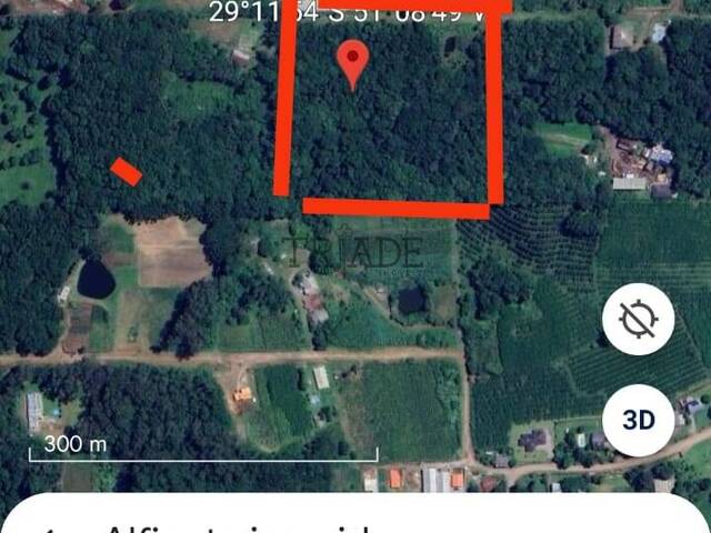 #TRD433 - Área para Venda em Caxias do Sul - RS