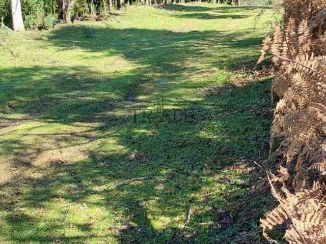 #TRD433 - Área para Venda em Caxias do Sul - RS