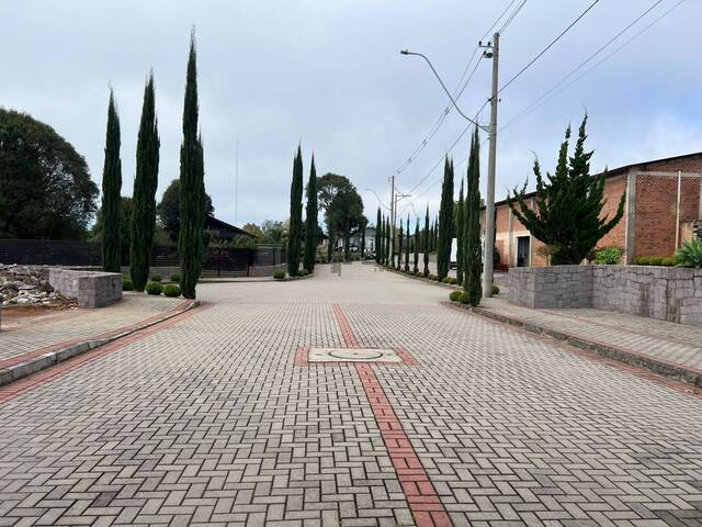 Terreno para Venda em Caxias do Sul - 3