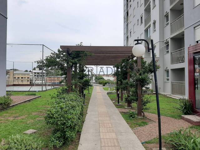 Apartamento para Venda em Caxias do Sul - 4