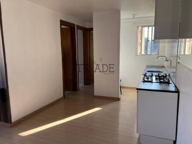Apartamento para Venda em Caxias do Sul - 2