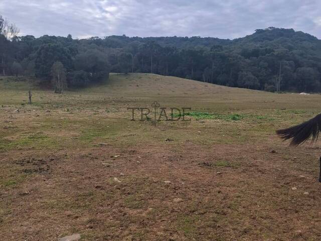 #TRD511 - Chácara para Venda em Caxias do Sul - RS