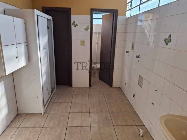 Sala para Locação em Caxias do Sul - 5