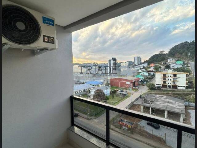Apartamento para Locação em Caxias do Sul - 4
