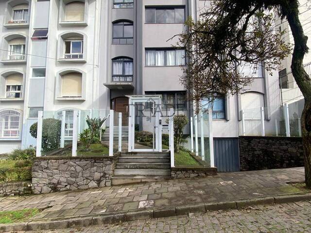 Venda em Panazzolo - Caxias do Sul