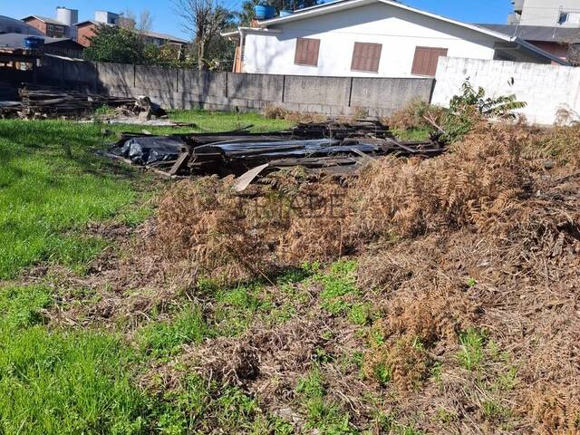 #540 - Área para Venda em Caxias do Sul - RS