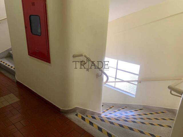 Apartamento para Locação em Caxias do Sul - 5