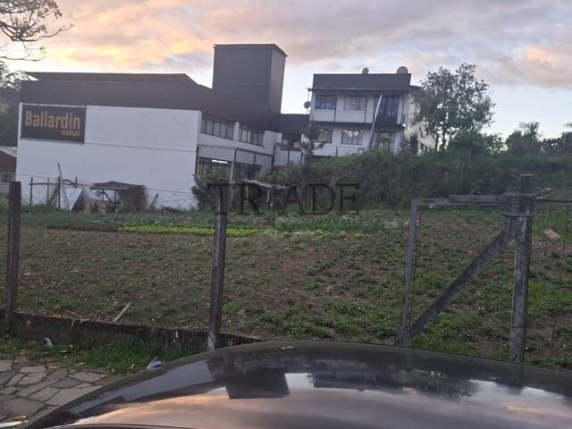 #TRD599 - Área para Venda em Caxias do Sul - RS
