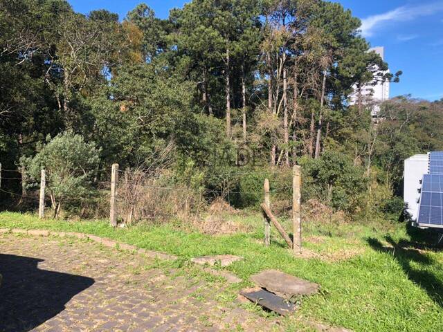 #TRD628 - Área para Venda em Caxias do Sul - RS