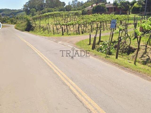 #TRD643 - Chácara para Venda em Caxias do Sul - RS