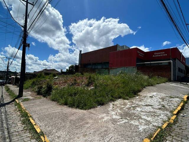 Terreno para Venda em Caxias do Sul - 4