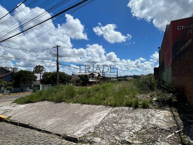 Terreno para Venda em Caxias do Sul - 5