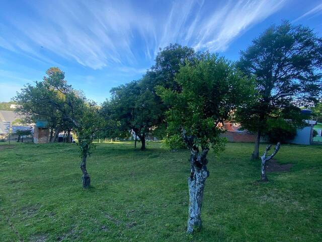 Área para Venda em Caxias do Sul - 5