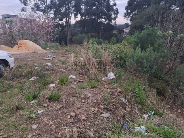 #TRD659 - Terreno para Venda em Caxias do Sul - RS - 1