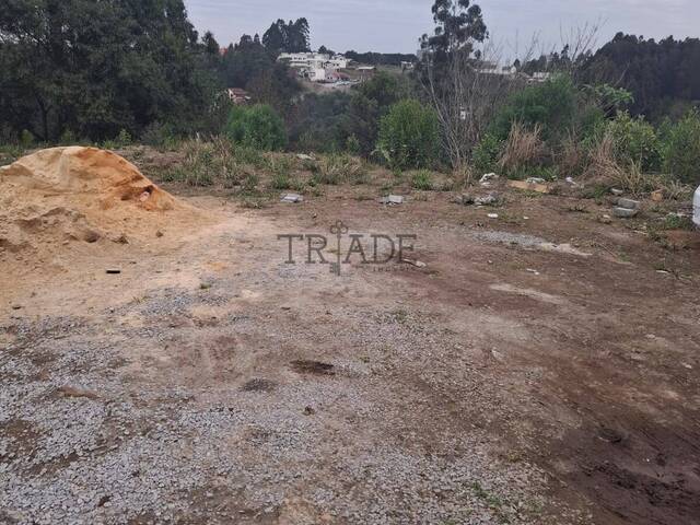 Terreno para Venda em Caxias do Sul - 4