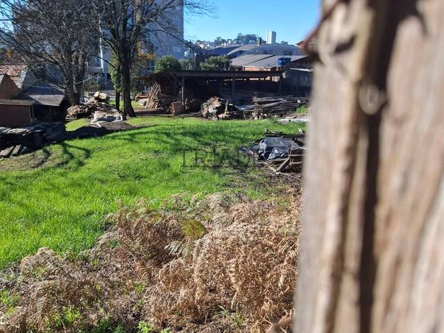 #665 - Área para Venda em Caxias do Sul - RS