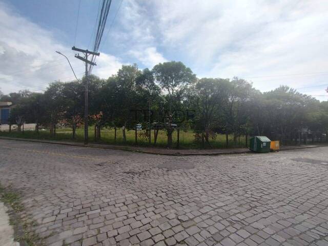 #TRD675 - Área para Venda em Caxias do Sul - RS