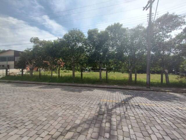 Área para Venda em Caxias do Sul - 4