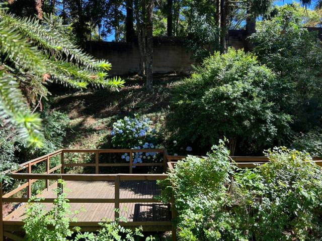 Apartamento para Venda em Caxias do Sul - 5