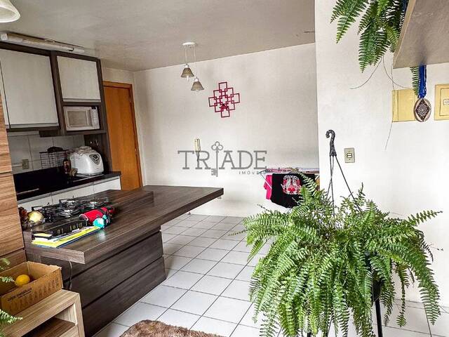 Apartamento para Venda em Caxias do Sul - 5