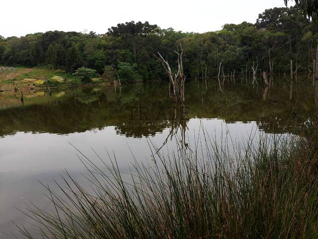 Chácara para Venda em Caxias do Sul - 5