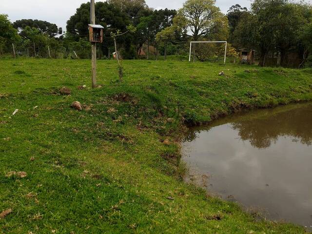 Chácara para Venda em Caxias do Sul - 4