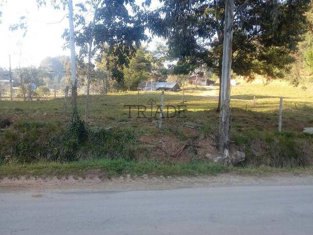 #TRD750 - Chácara para Venda em Caxias do Sul - RS