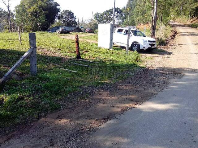 #TRD750 - Chácara para Venda em Caxias do Sul - RS