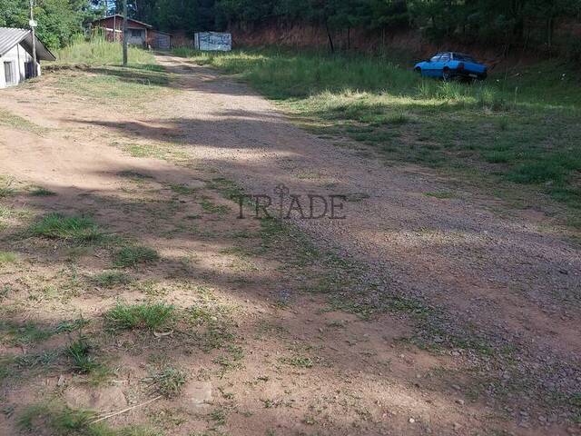 Chácara para Venda em Caxias do Sul - 4